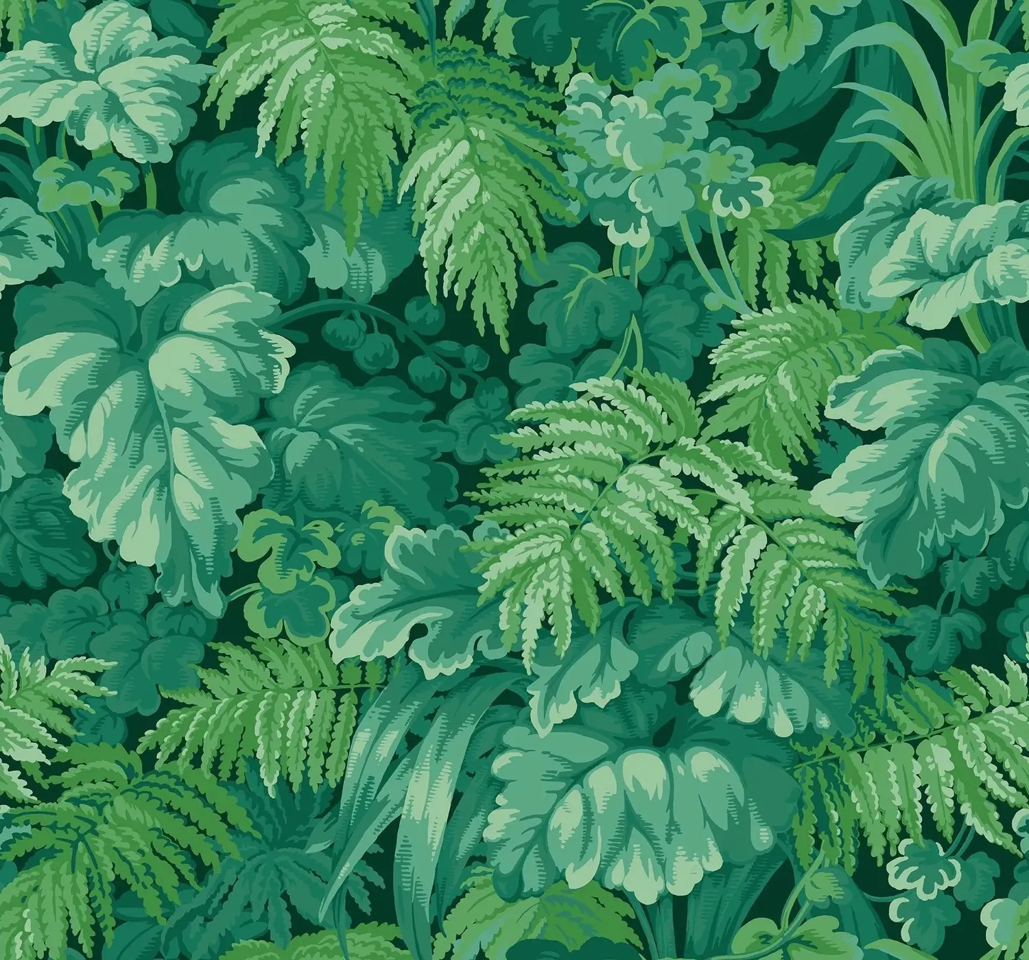 Cole & Son Royal Fernery Tapete matte Blätter