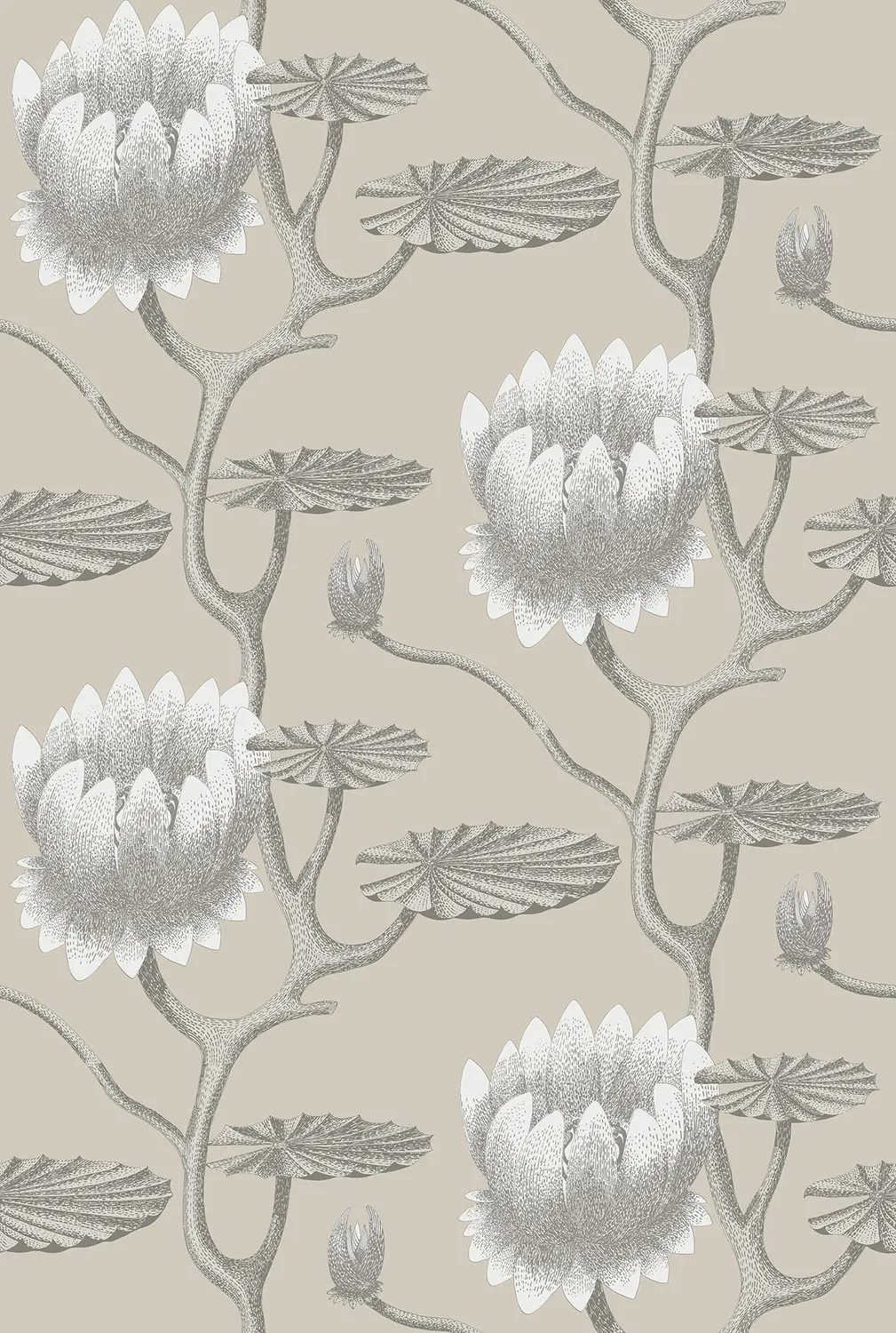 Cole&Son Summer Lily Tapetenmuster Lilie
