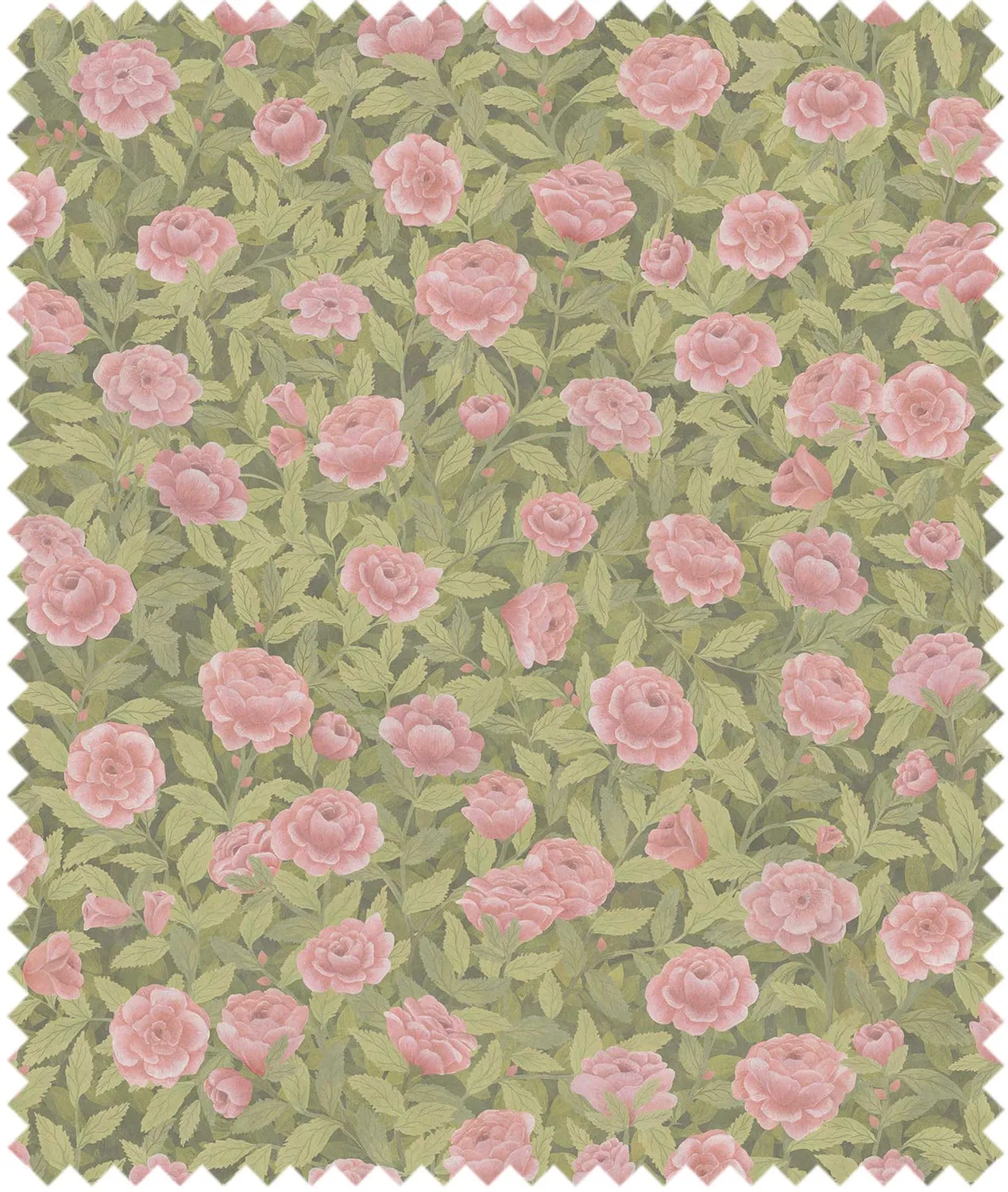 Cole&Son Idyll Roses Tapetenmuster