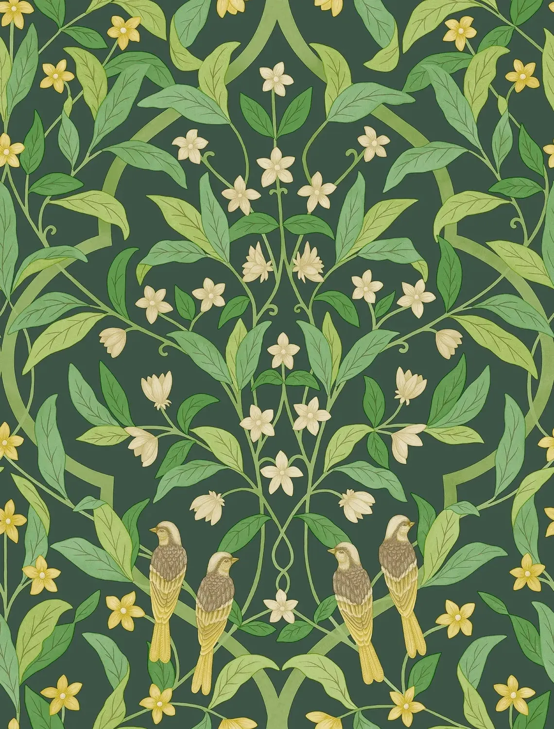 Cole & Son Jasmine & Serin Tapete Vögel