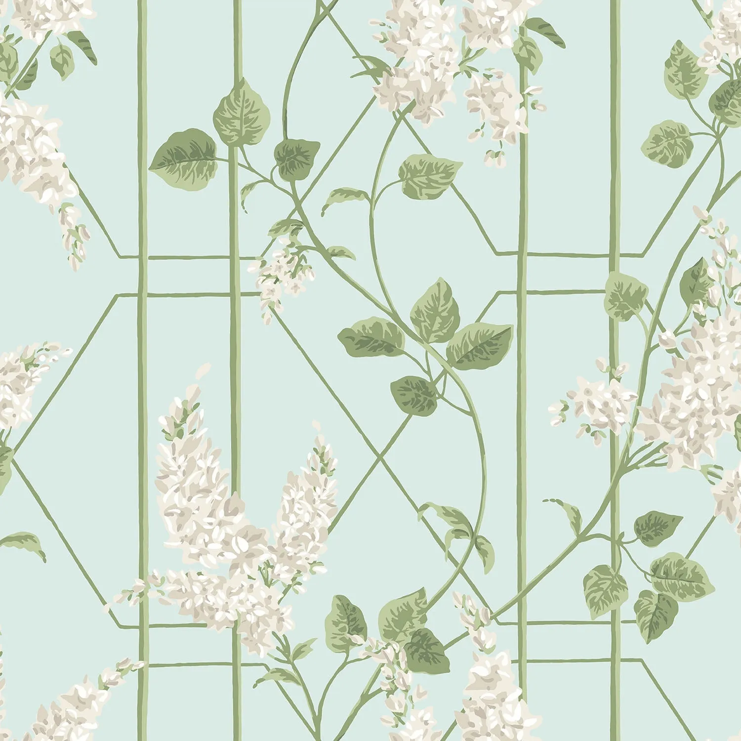 Cole & Son Wisteria Tapete Muster Ranken