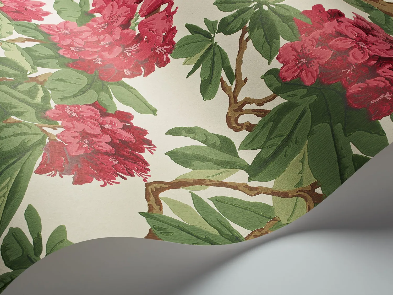 Cole & Son Bourlie Tapete Blumenmuster Rhododendron