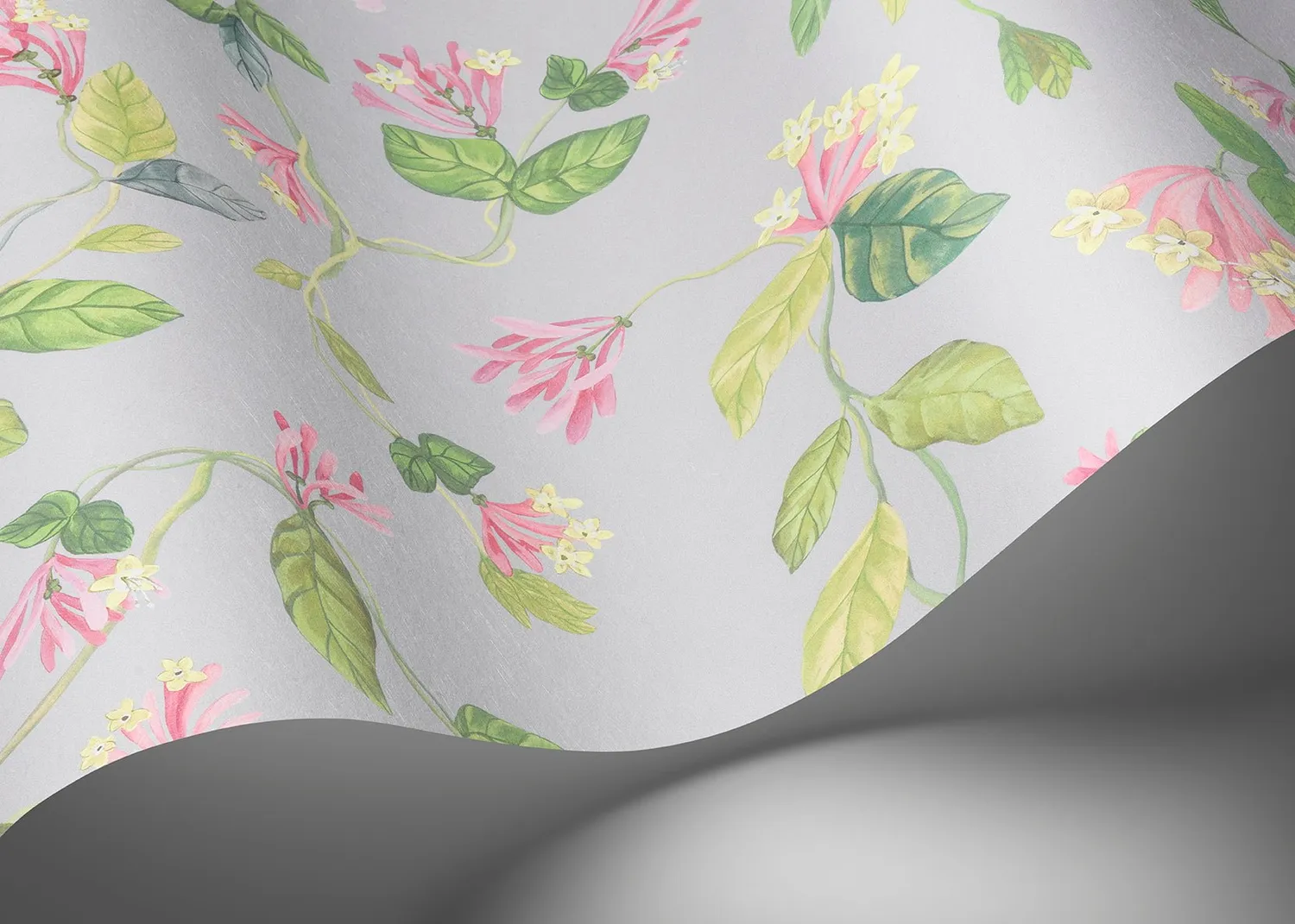 Cole & Son Flora Sample Tapetenmuster Ranke