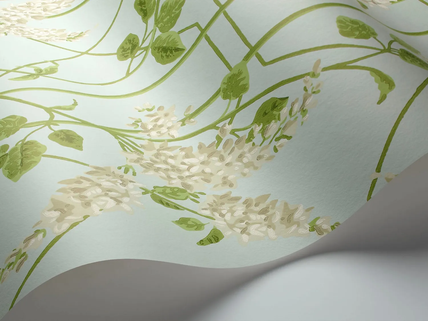 Cole & Son Wisteria Tapete Muster Ranken