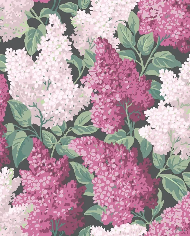 Cole & Son Lilac Tapete Fliedermuster floral