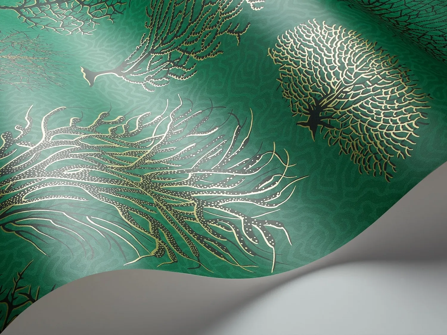 Cole & Son Seafern Tapete botanisch Korallen