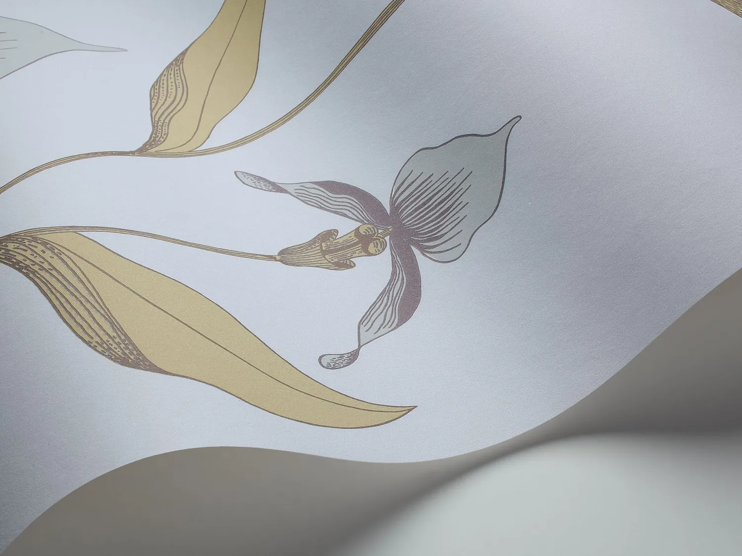 Cole & Son Orchid Tapetenmuster Blüten