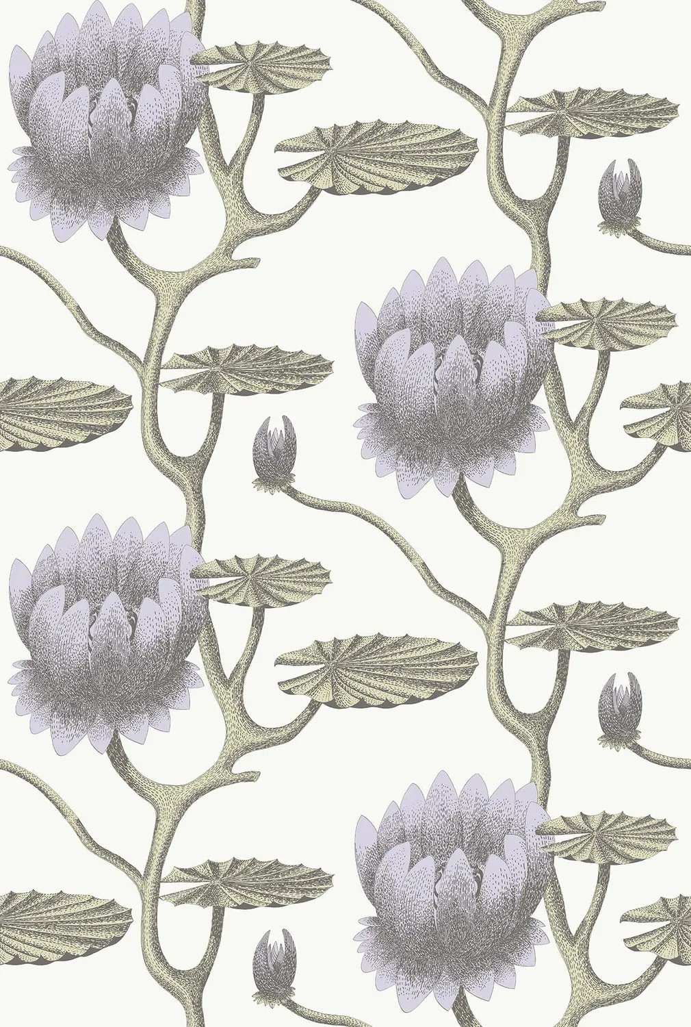 Cole&Son Summer Lily Tapetenmuster Lilie