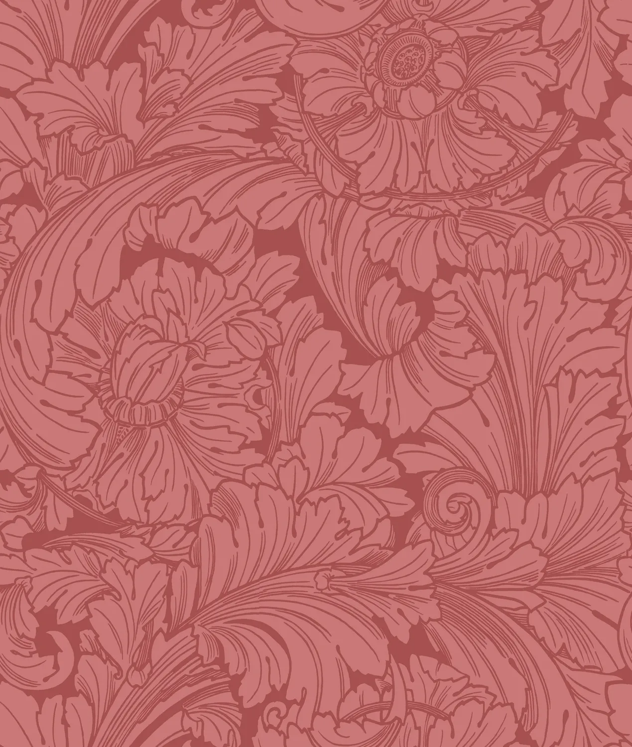 Cole & Son Acanthus Tapete floral