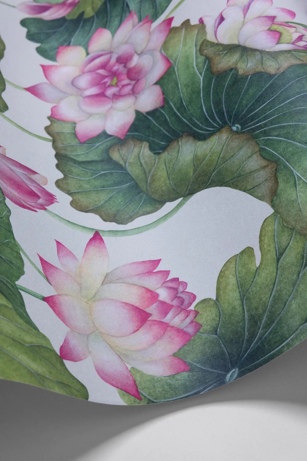 Cole & Son Lily Lotus Tapetenmuster floral