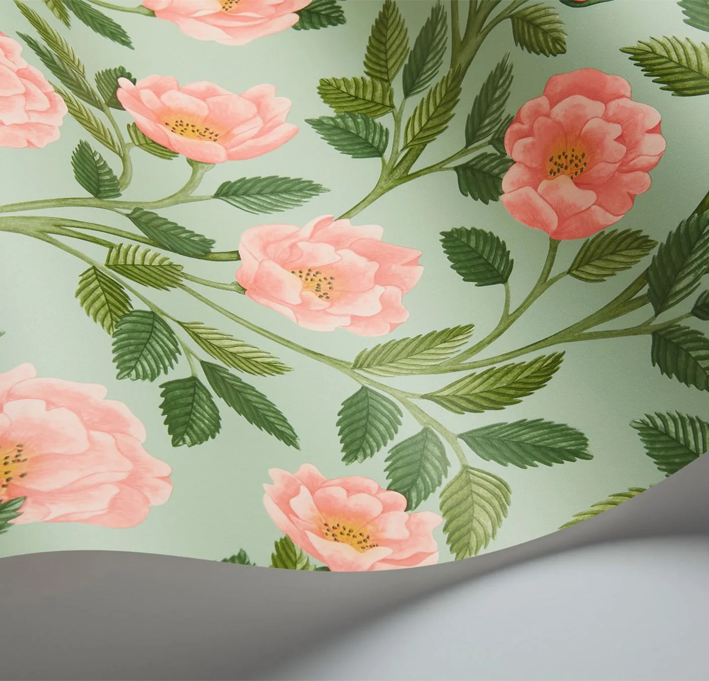 Cole & Son Hampton Roses Tapetenmuster Rose Probe