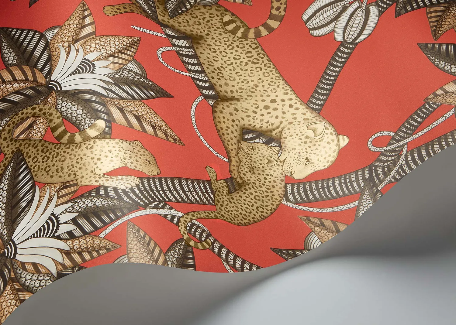 Cole & Son Ardmore Jabula Satara Tapetenmuster Leopard