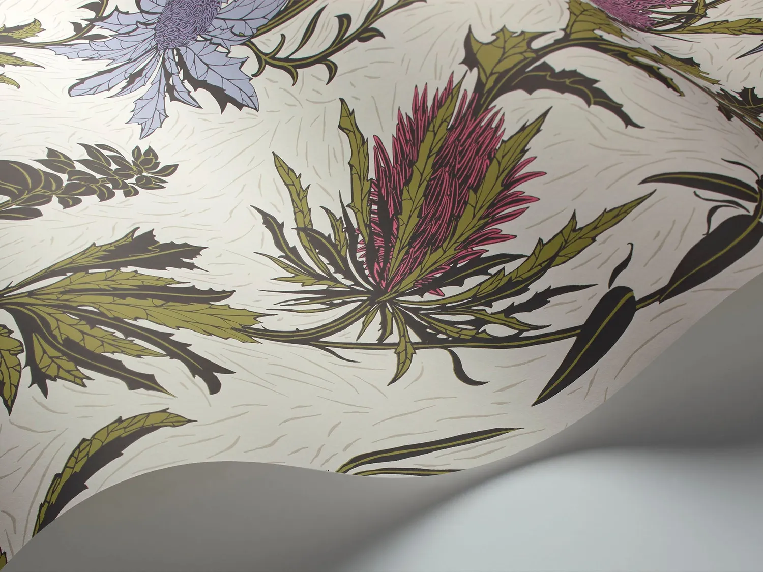 Cole & Son Thistle Tapete Blütenranke