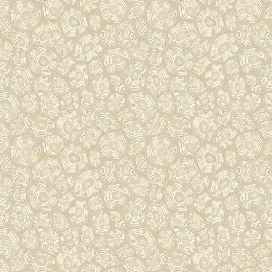 Cole&Son Savanna Shell Tapetenmuster Schildpattmuster