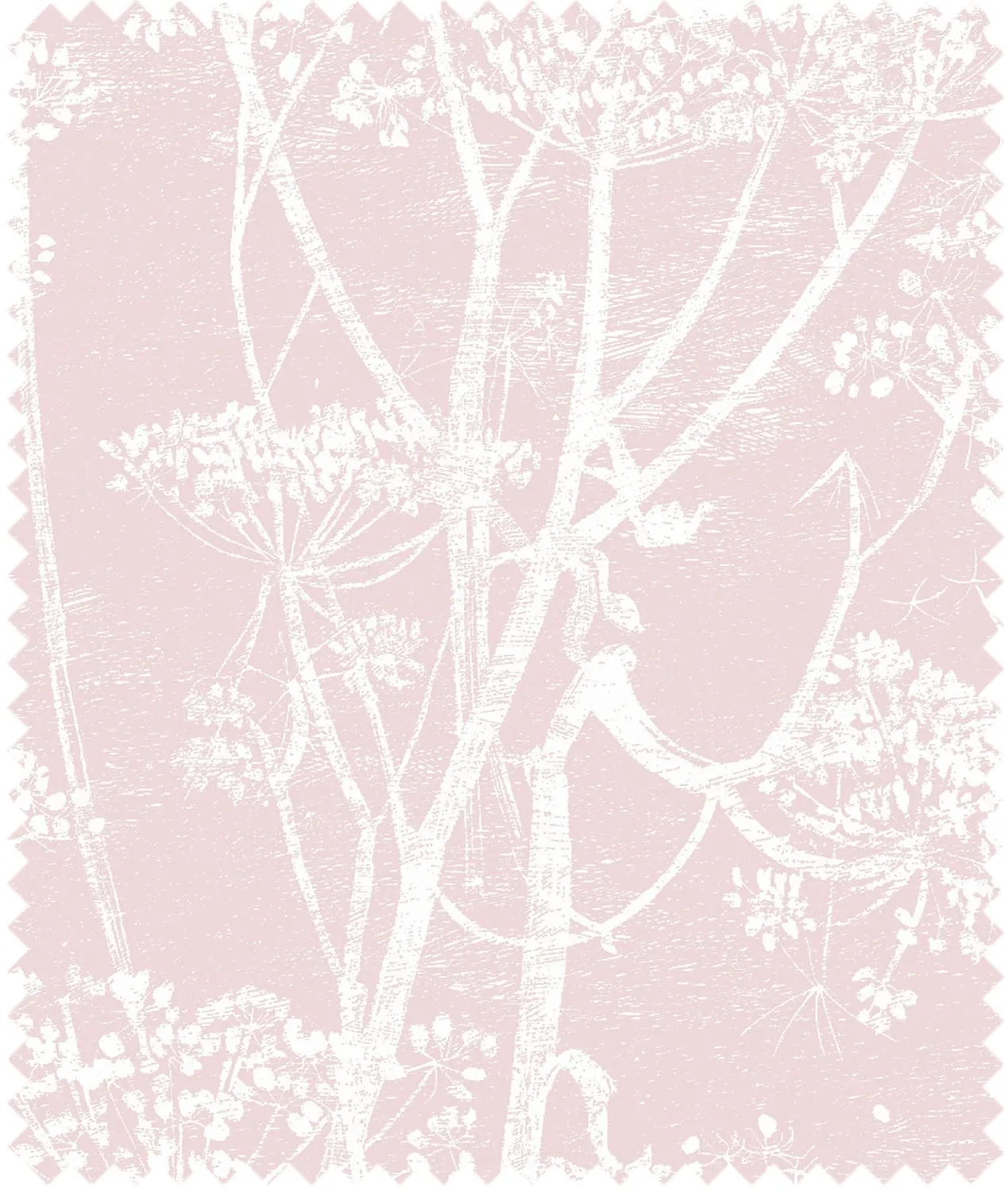 Cole&Son Cow Parsley Stoff