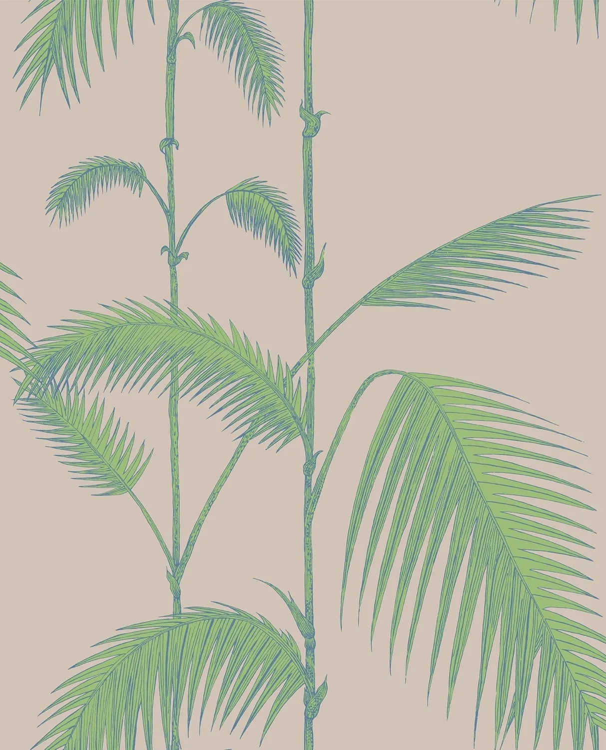 Cole&Son Palm Leaves Tapete