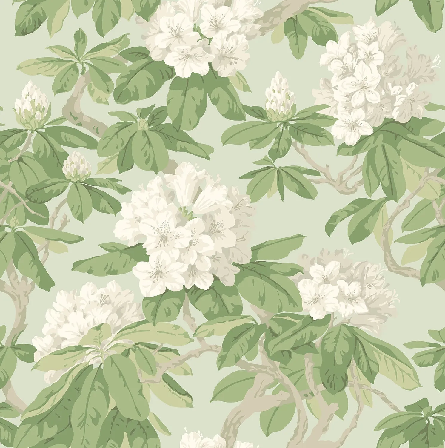 Cole & Son Bourlie Tapete Blumenmuster Rhododendron
