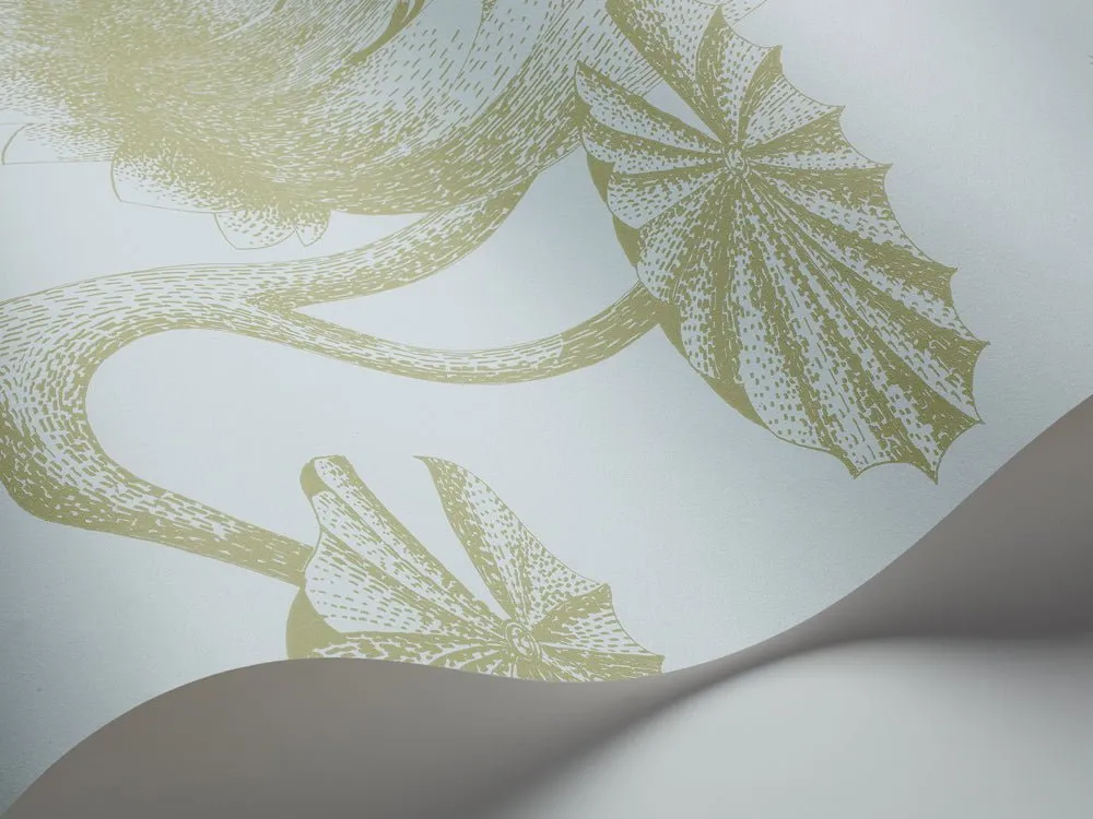 Cole & Son Lily Tapetenmuster Seerosen