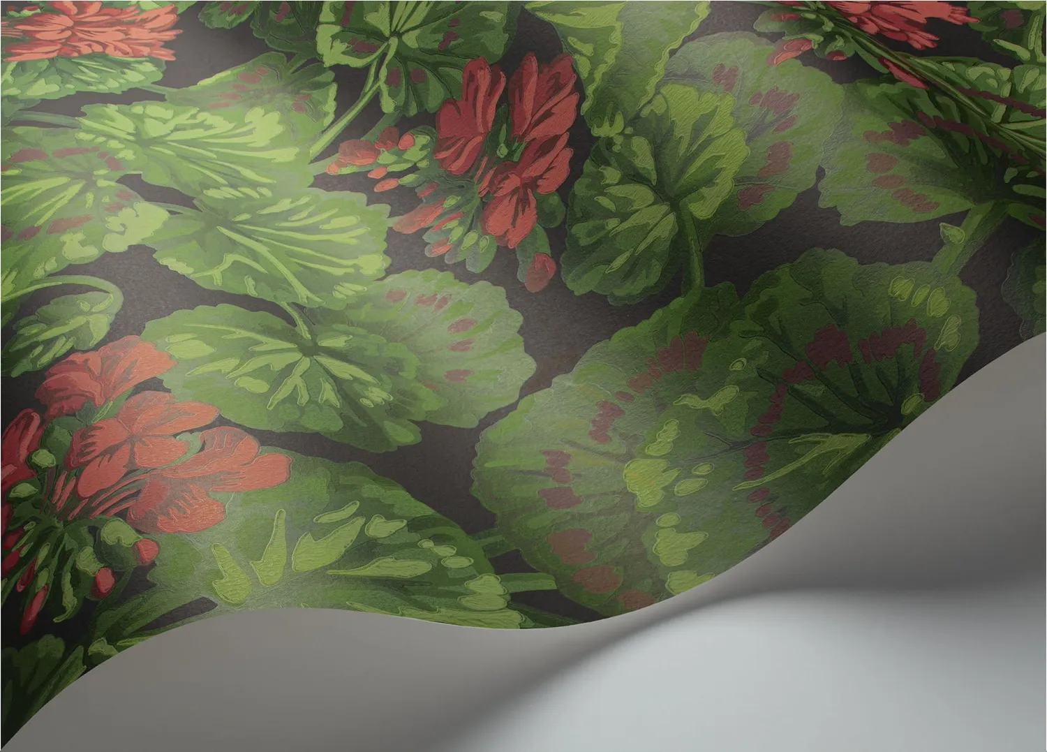Cole&Son Geranium Sample Tapete