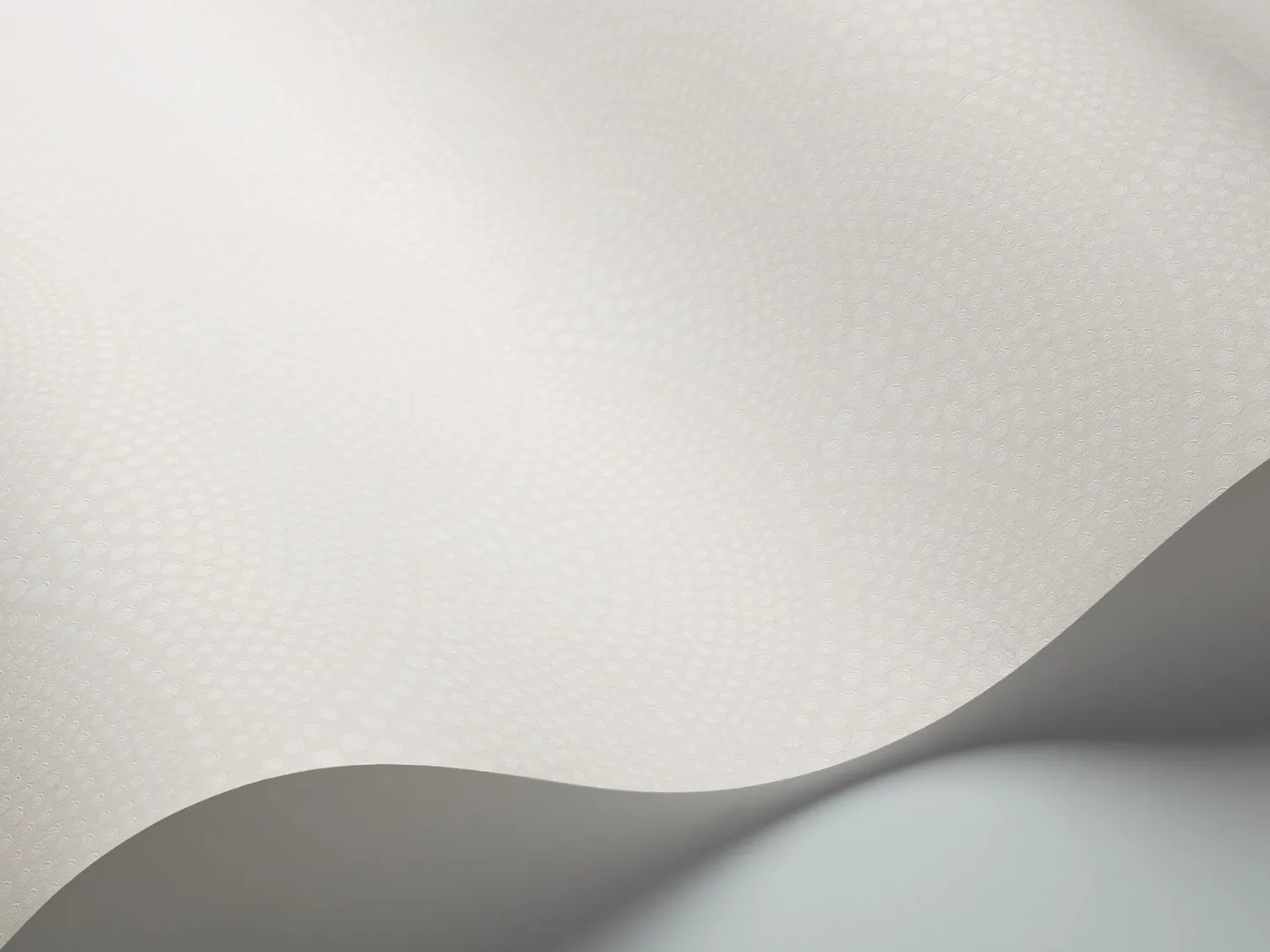 Cole & Son Feather Fan Tapetenmuster Fächermotiv