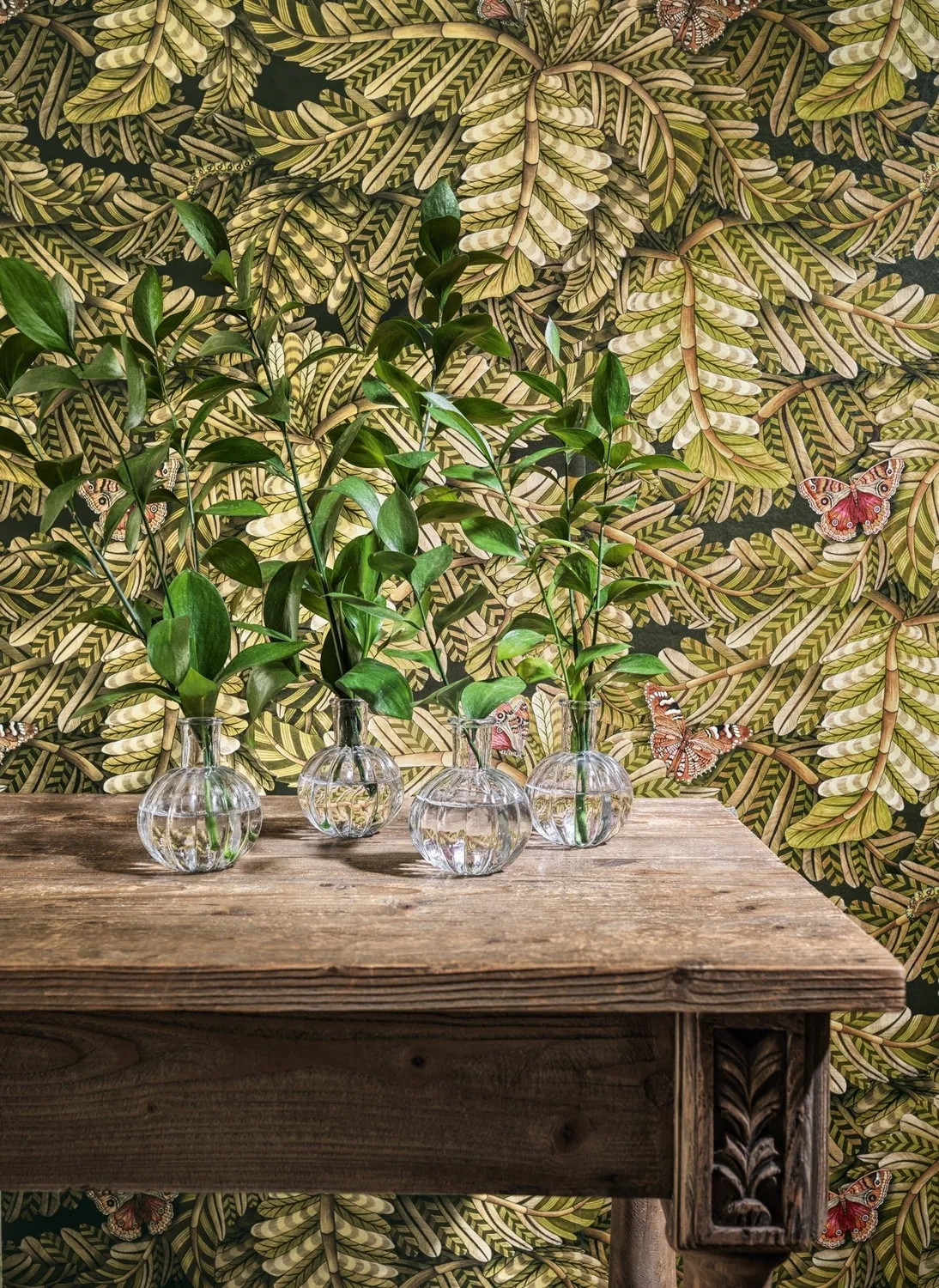 Cole&Son Acacia Canopy Tapete Schmetterling