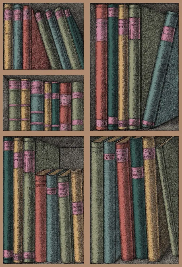 Cole&Son Ex Libris Sample Tapete