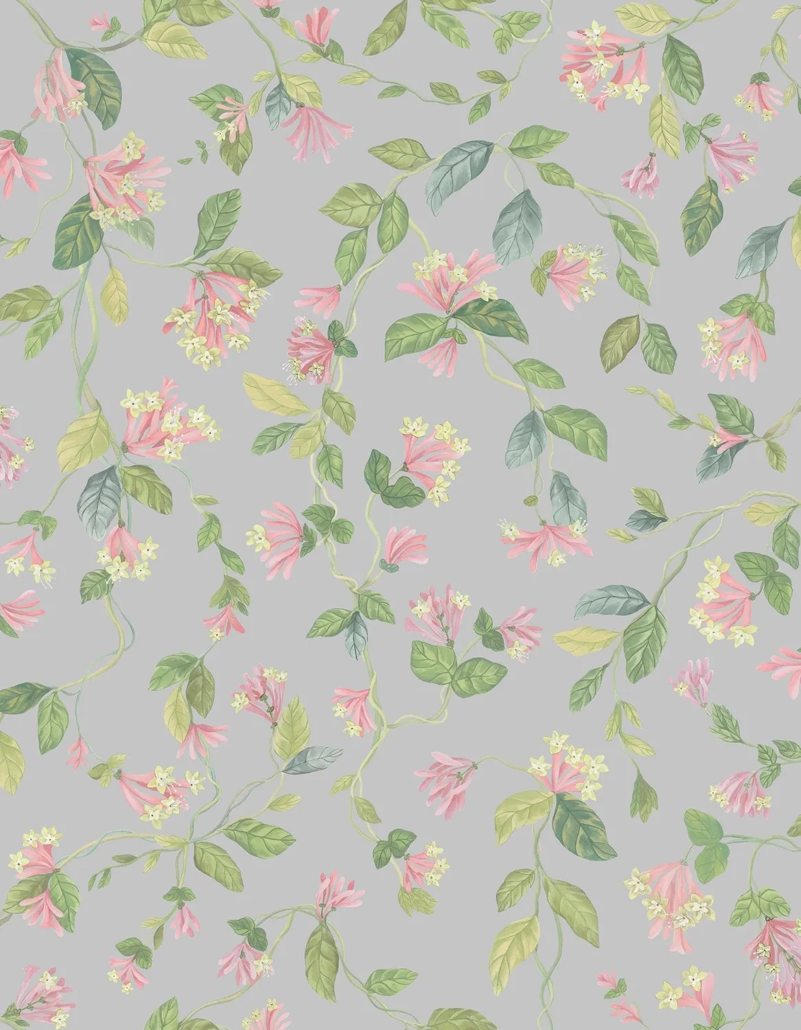 Cole & Son Flora Sample Tapetenmuster Ranke
