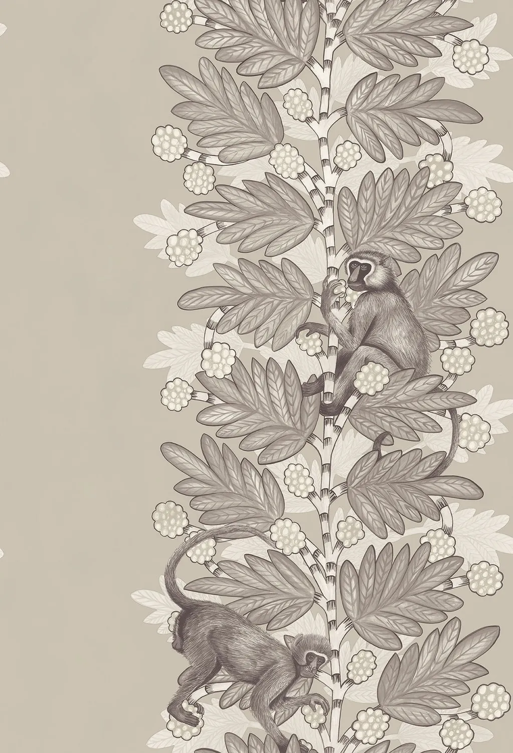 Cole & Son Acacia Tapetenmuster Streifen Affen