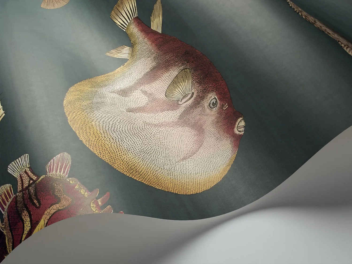 Cole&Son Acquario Tapete