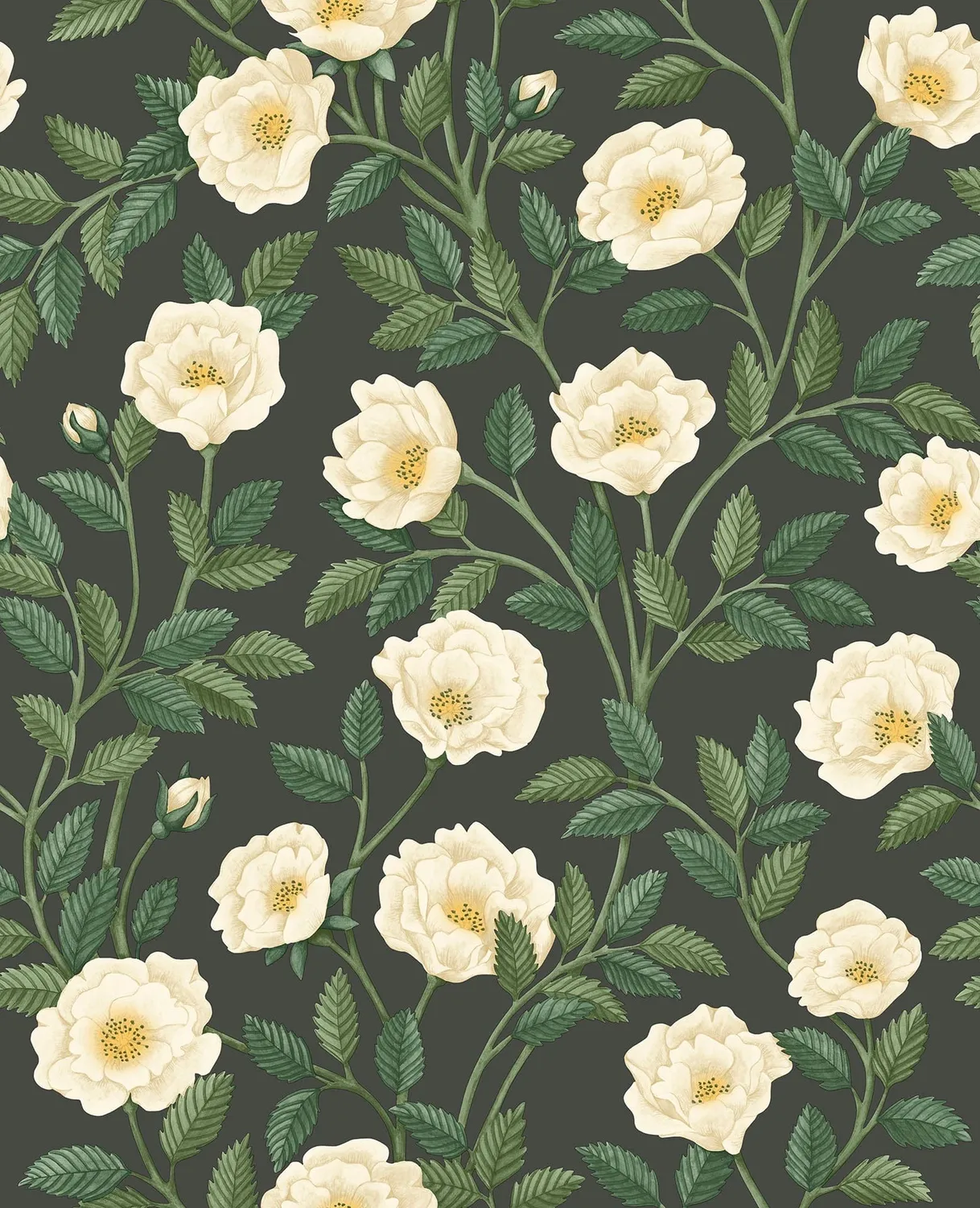 Cole & Son Hampton Roses Tapetenmuster Rose Probe