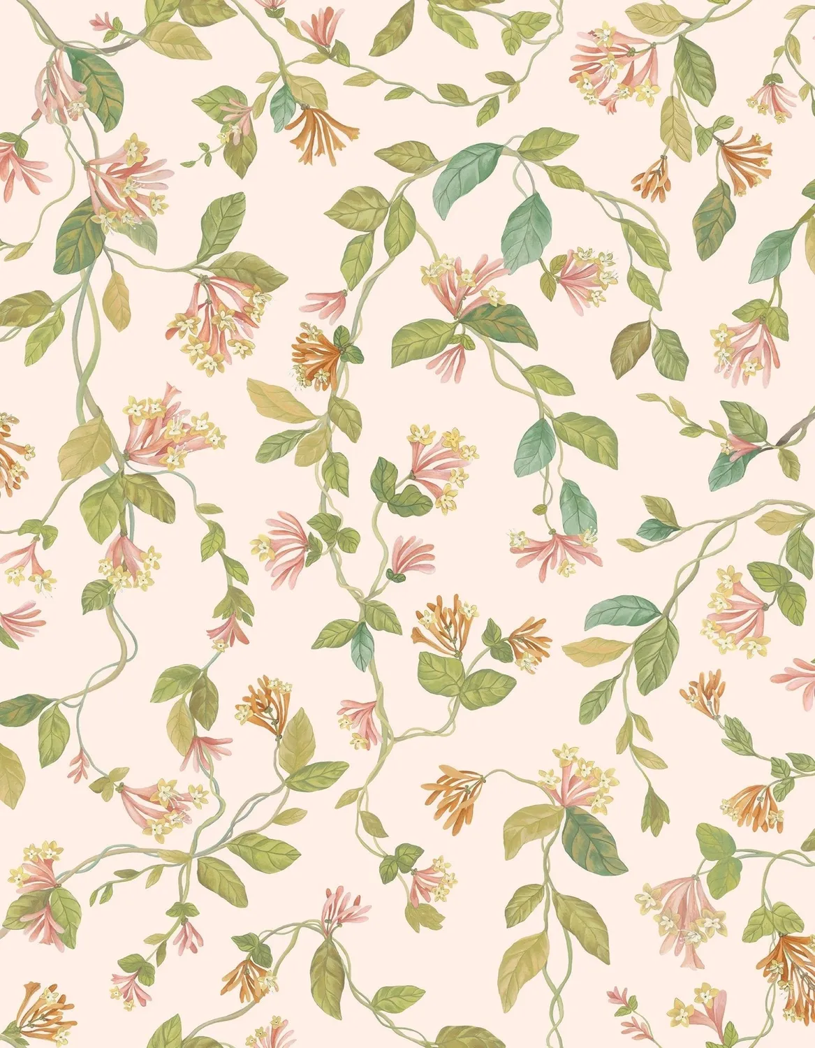Cole & Son Flora Sample Tapetenmuster Ranke