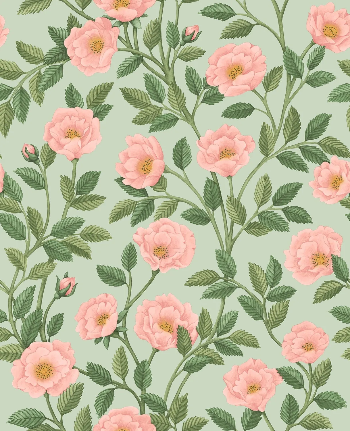 Cole & Son Hampton Roses Tapetenmuster Rose Probe