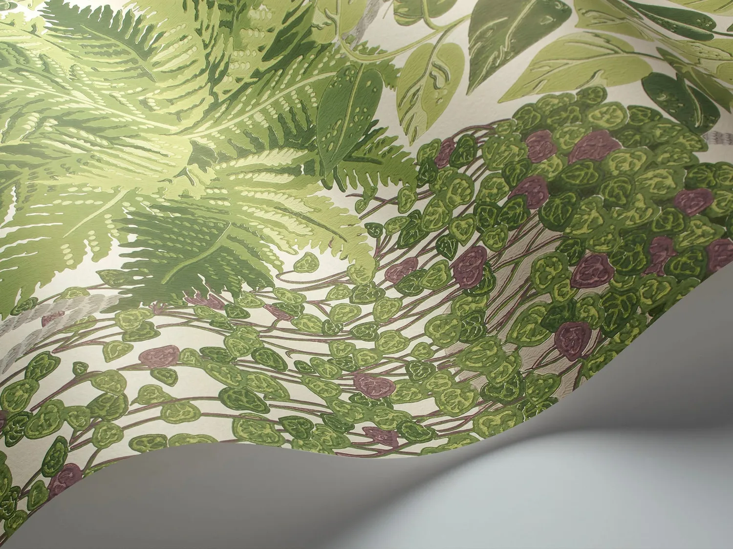 Cole&Son Fern Tapete botanisch Blätter