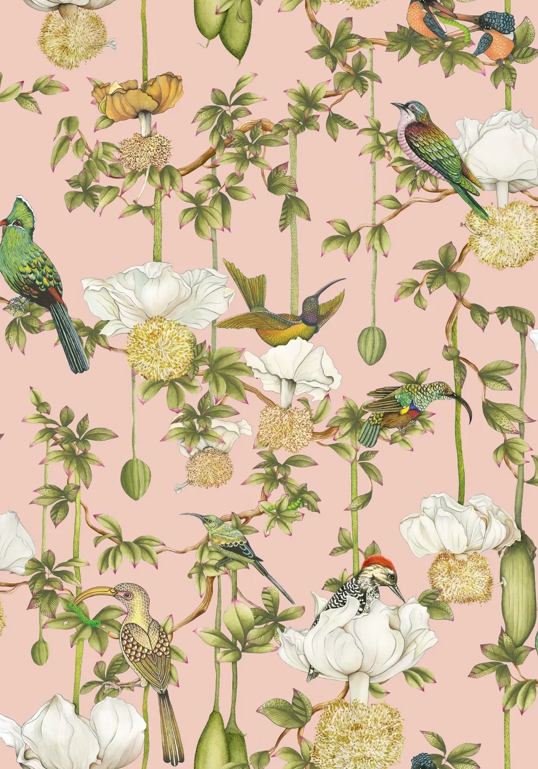 Cole&Son Baobab Botanica Tapete Tier Pflanzenmotiv