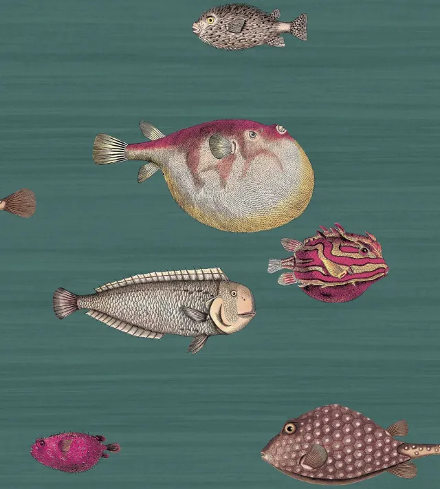 Cole&Son Acquario Tapete