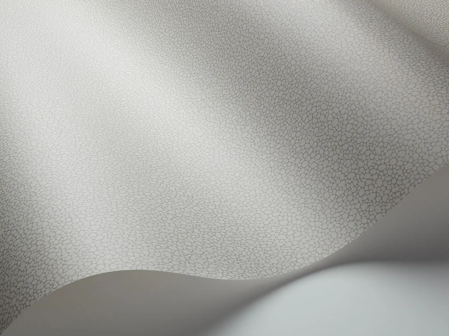 Cole&Son Pebble Sample Tapetenmuster