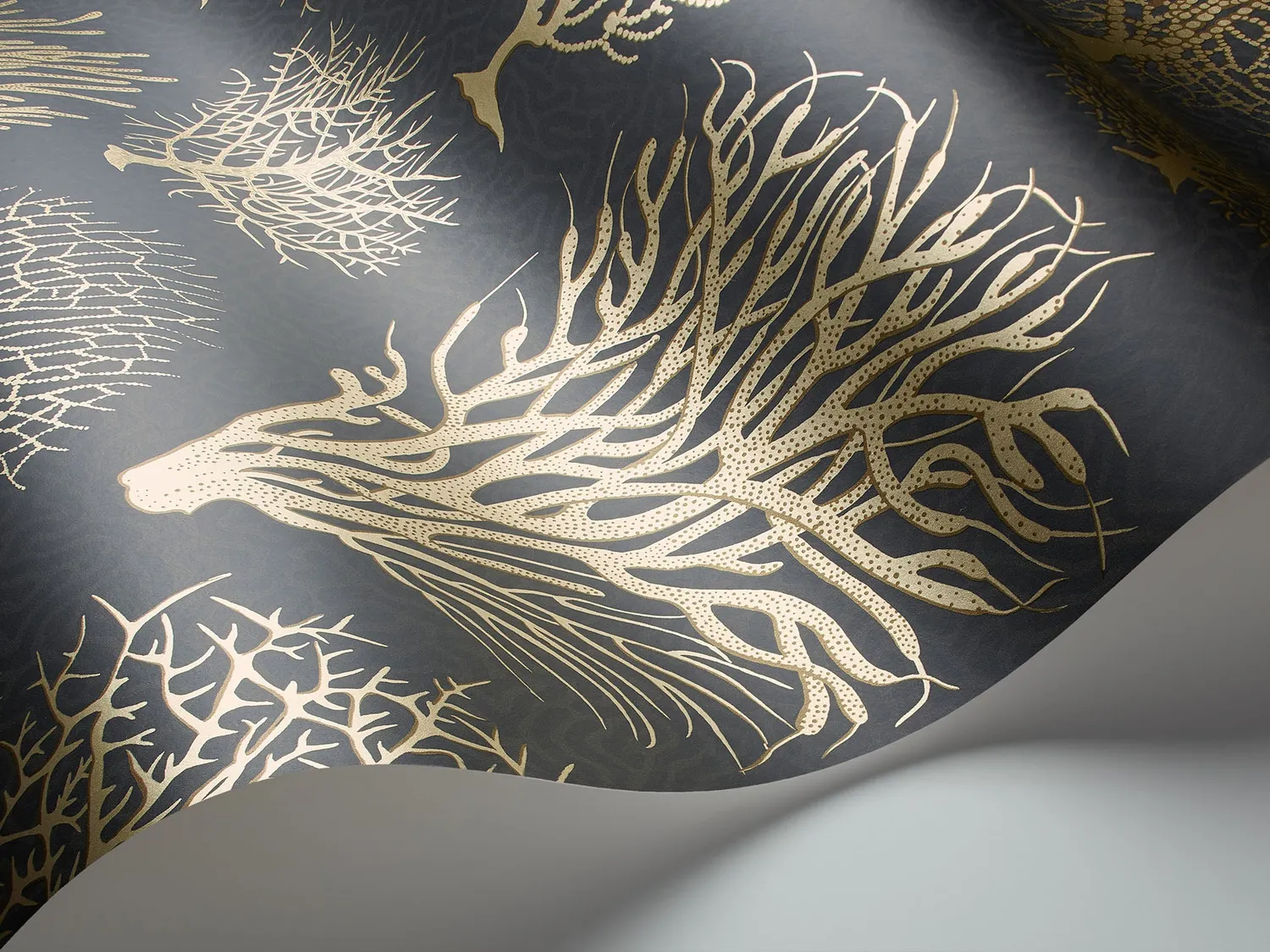 Cole & Son Seafern Tapete botanisch Korallen