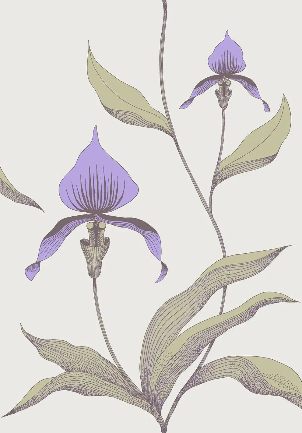 Cole & Son Orchid Tapetenmuster Blüten