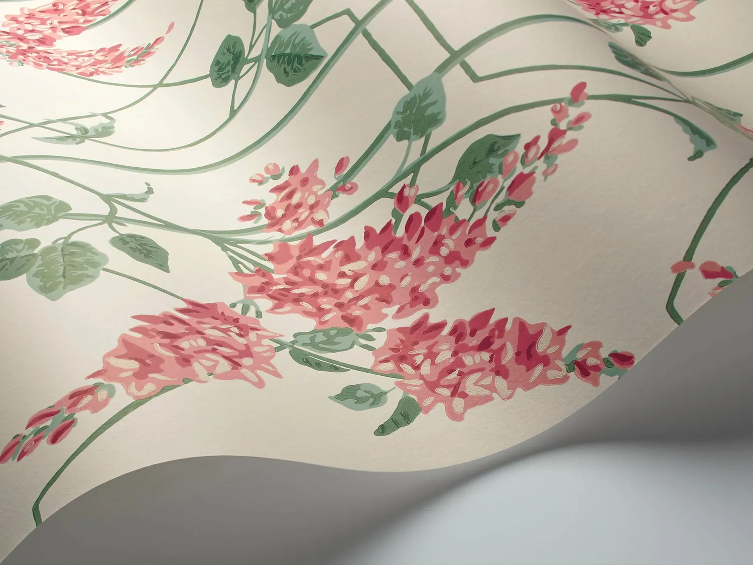 Cole & Son Wisteria Tapete Muster Ranken