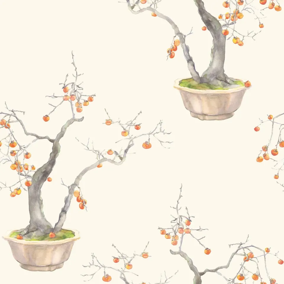 Cole&Son Kaki Persimmon Tapetenmuster Fruchtbaum