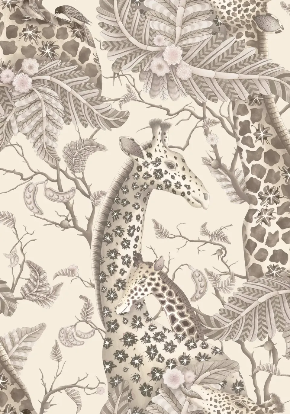 Cole & Son Ardmore Royal Giraffe Tapete Giraffenmotiv