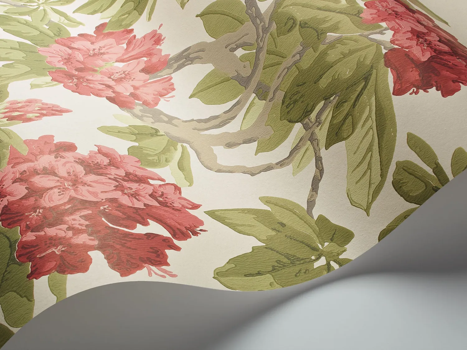Cole & Son Bourlie Tapete Blumenmuster Rhododendron