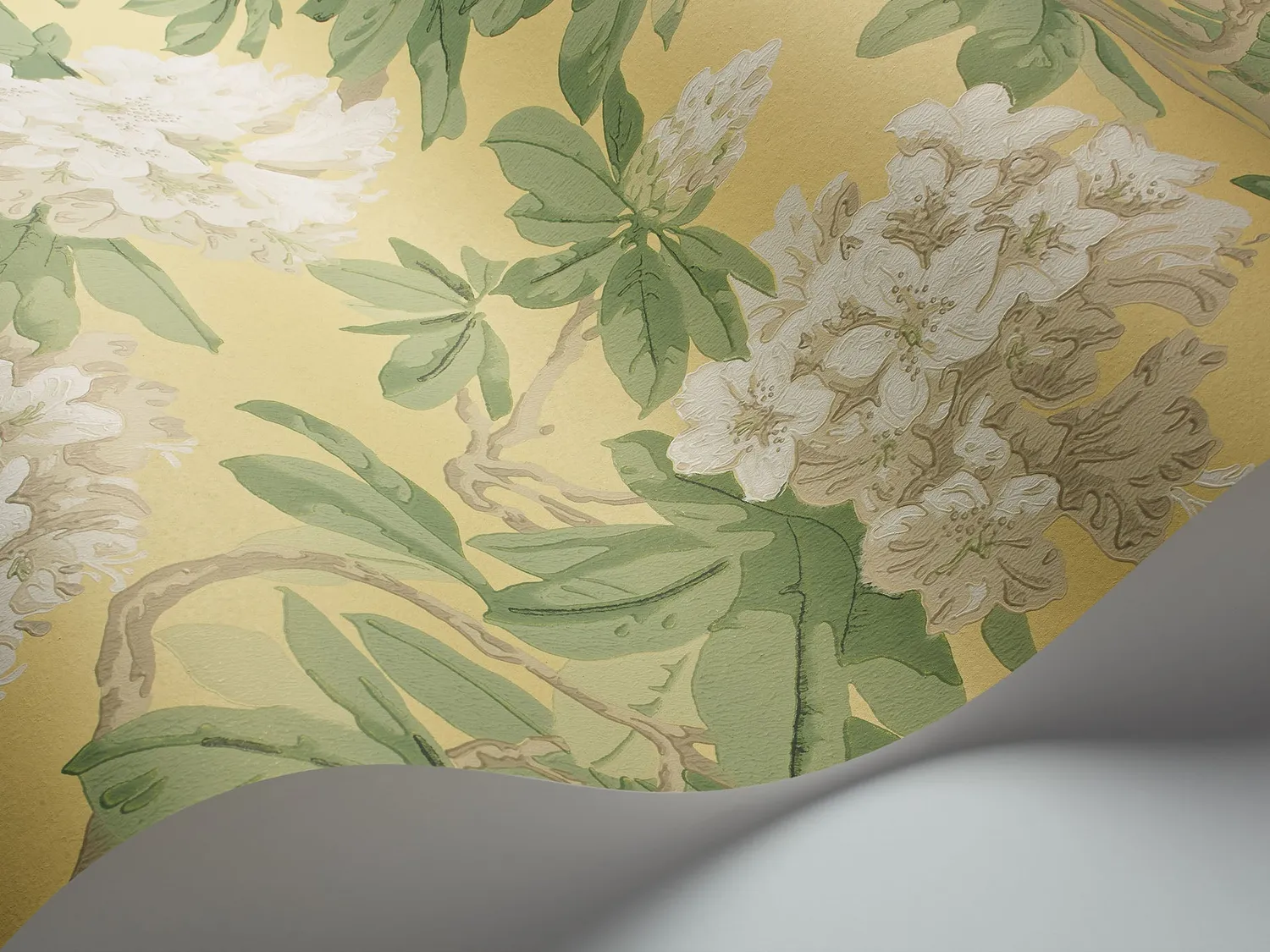 Cole & Son Bourlie Tapete Blumenmuster Rhododendron