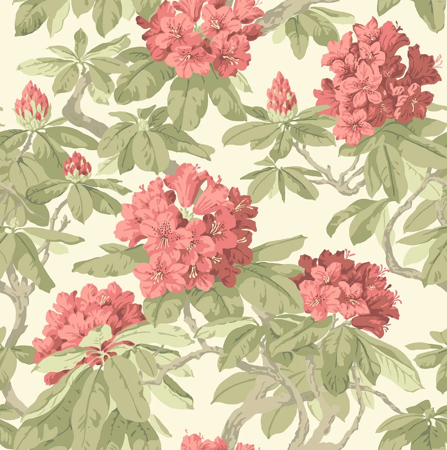 Cole & Son Bourlie Tapete Blumenmuster Rhododendron