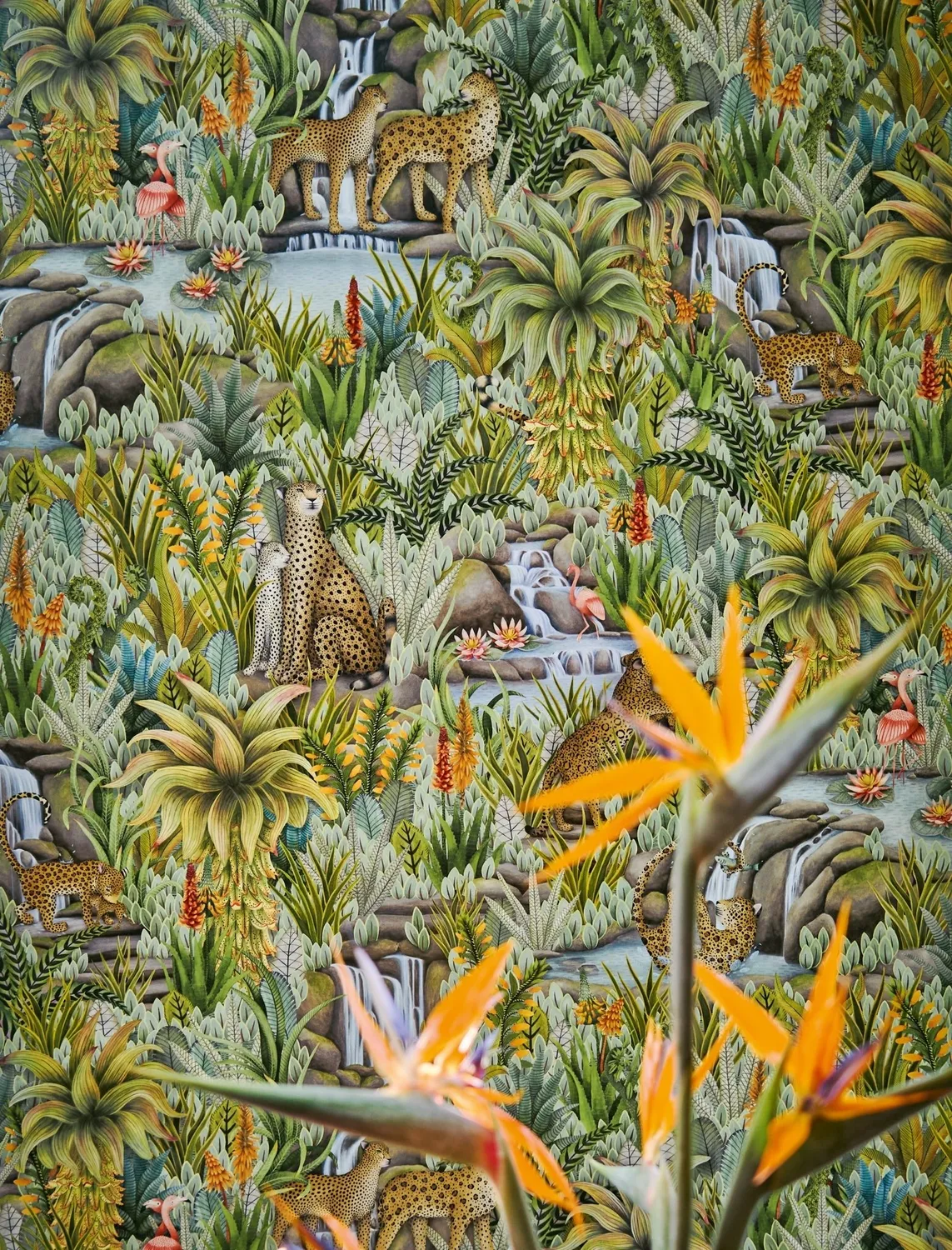 Cole&Son Injisuthi Muster Tapete Tiermotiv